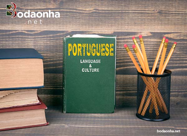 Học tiếng Bồ Đào Nha ở đâu thì hiệu quả?
