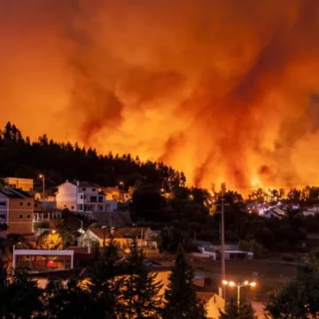 Bồ Đào Nha cảnh giác với cháy rừng do nắng nóng