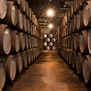 Rượu vang Bồ Đào Nha, cách thưởng thức theo từng vùng